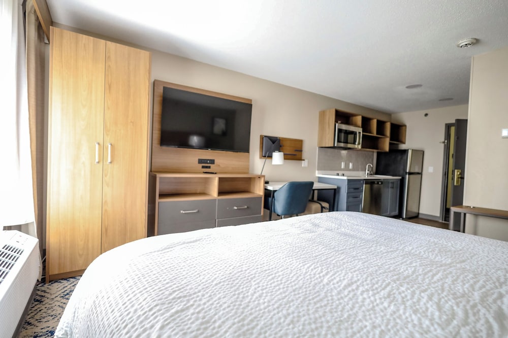 Studio Suite - Photo 1