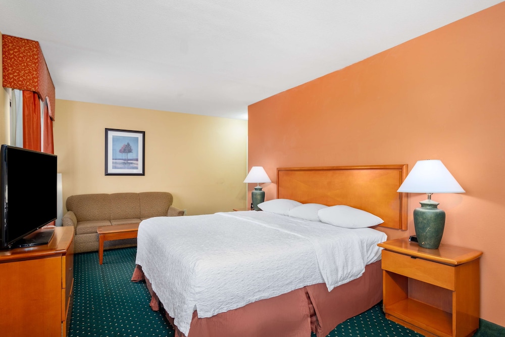 Studio, 1 King Bed, Accessible (Roll-In Shower) - Photo 2