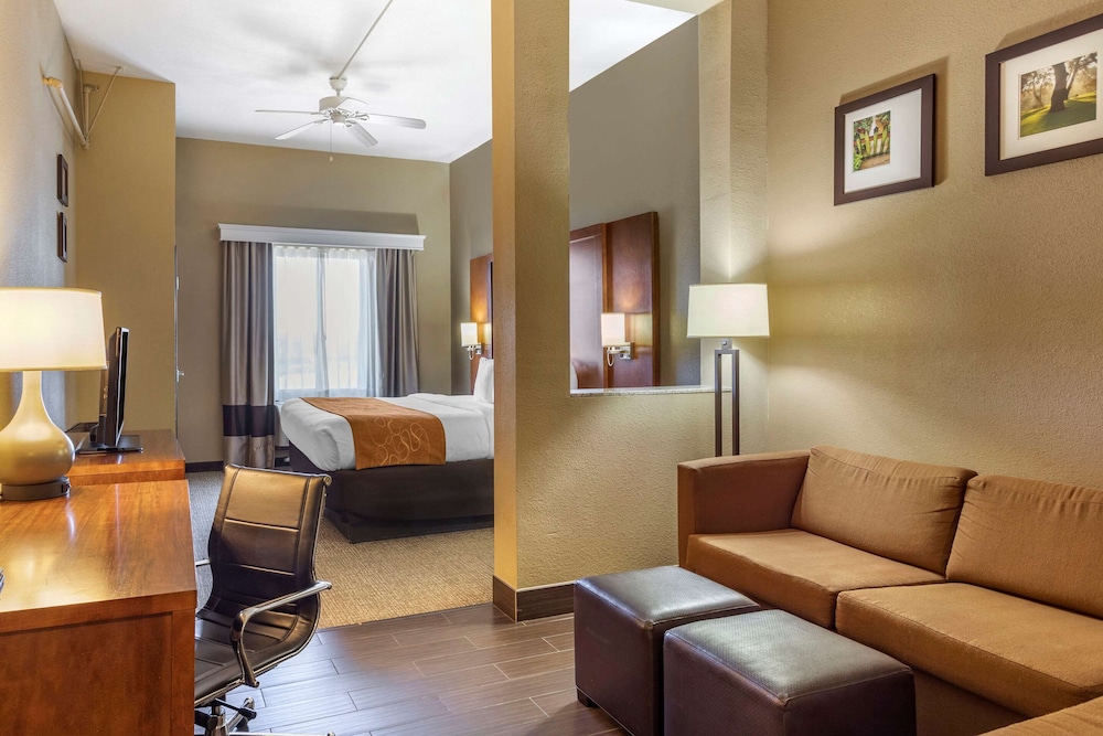 Suite, 1 King Bed with Sofa bed, Accessible, Non Smoking photo 1