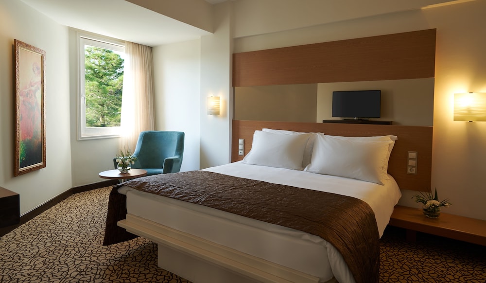 Junior Suite - Photo 8