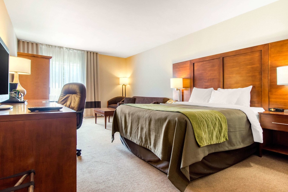 Standard Room, 1 Queen Bed with Sofa bed, Non Smoking