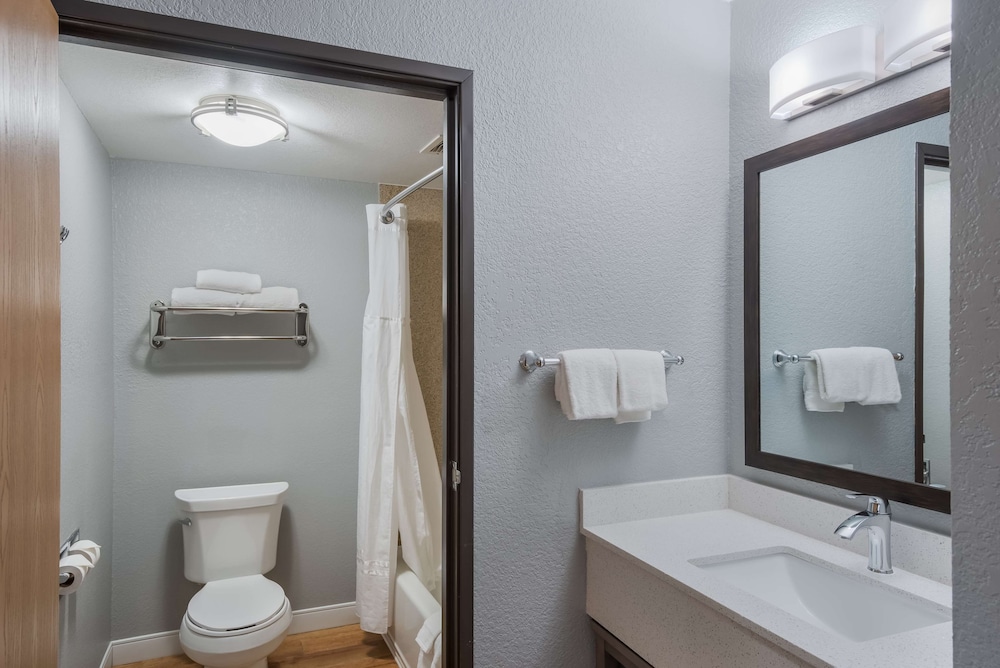 Suite, 1 King Bed, Non Smoking, Refrigerator & Microwave (Larger Room;with Sofabed) - Photo 8