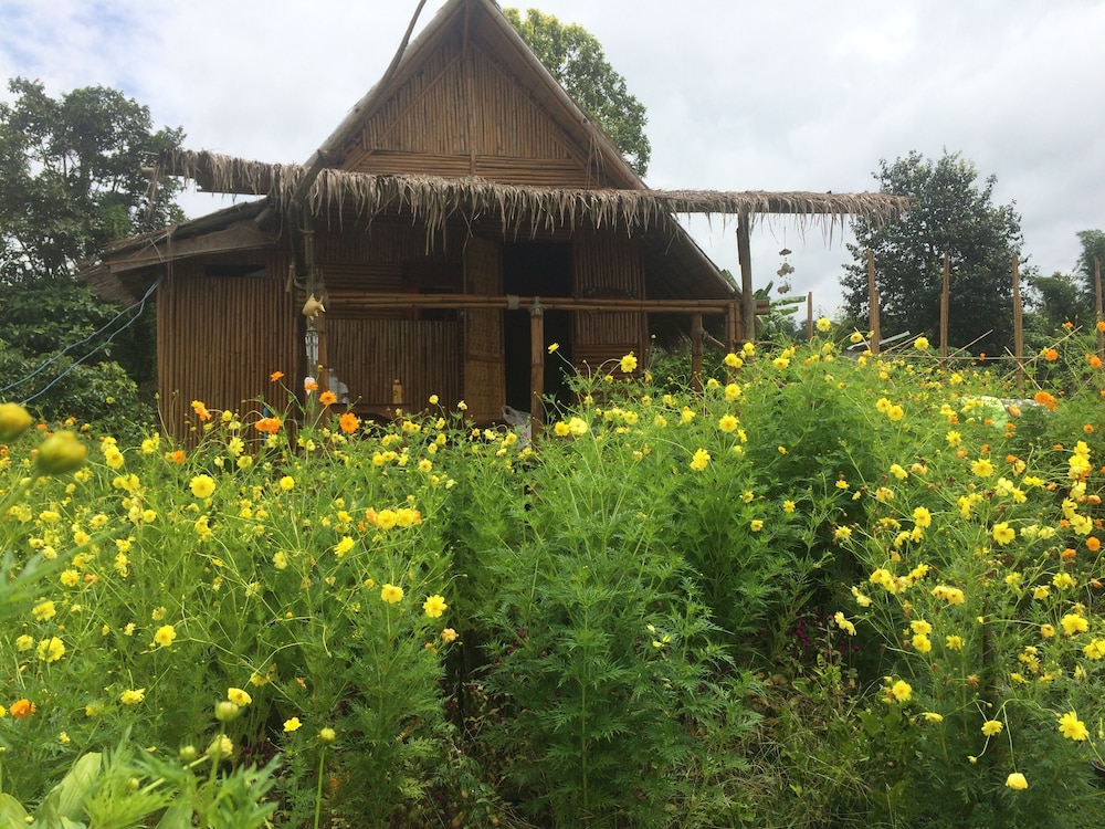 Bamboo Hut photo 1