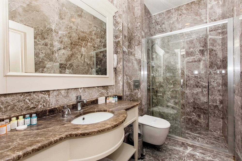 Deluxe Room photo 3