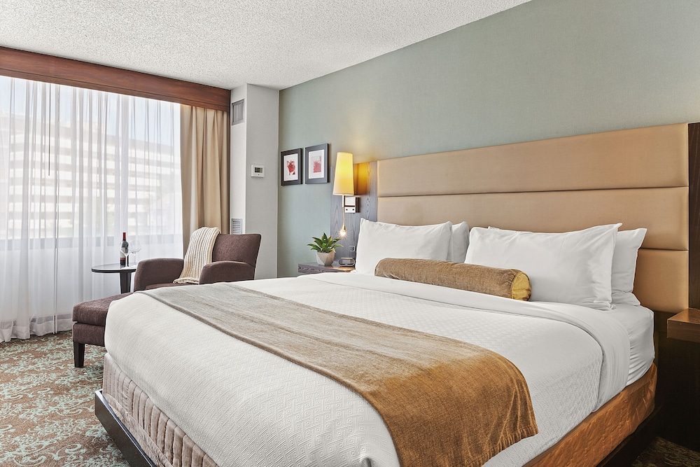 Basic Room, 1 King Bed - Photo 1