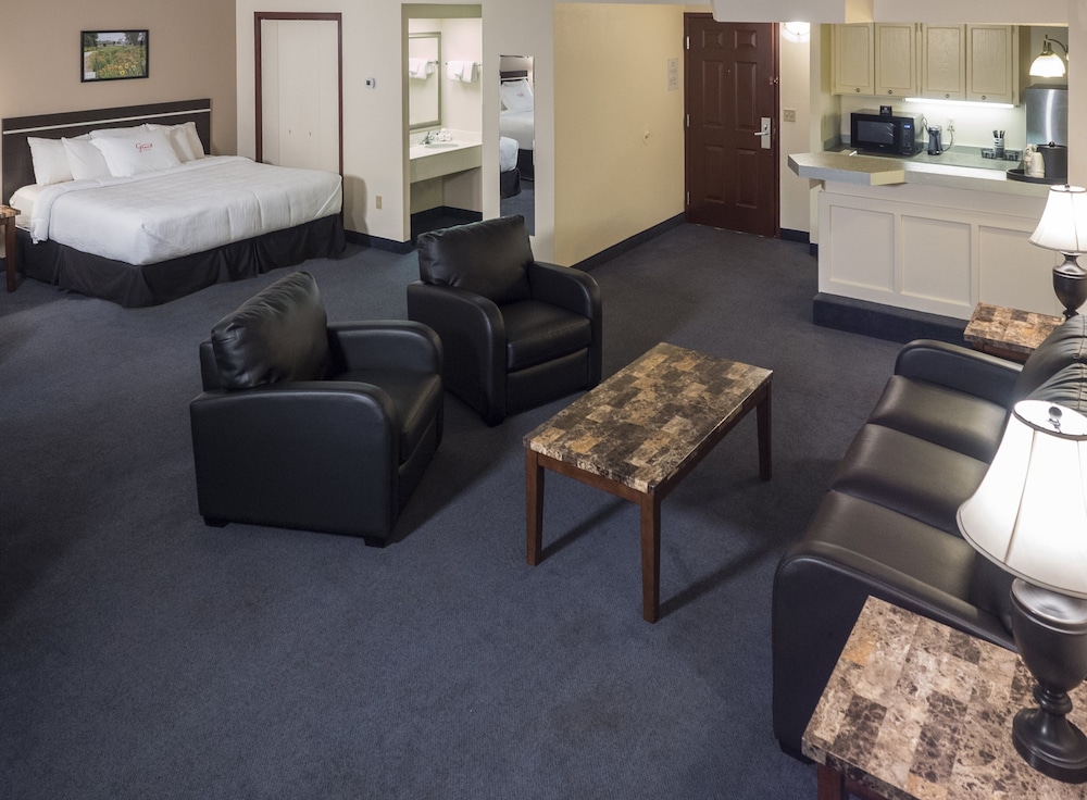 Studio Suite, 1 King Bed