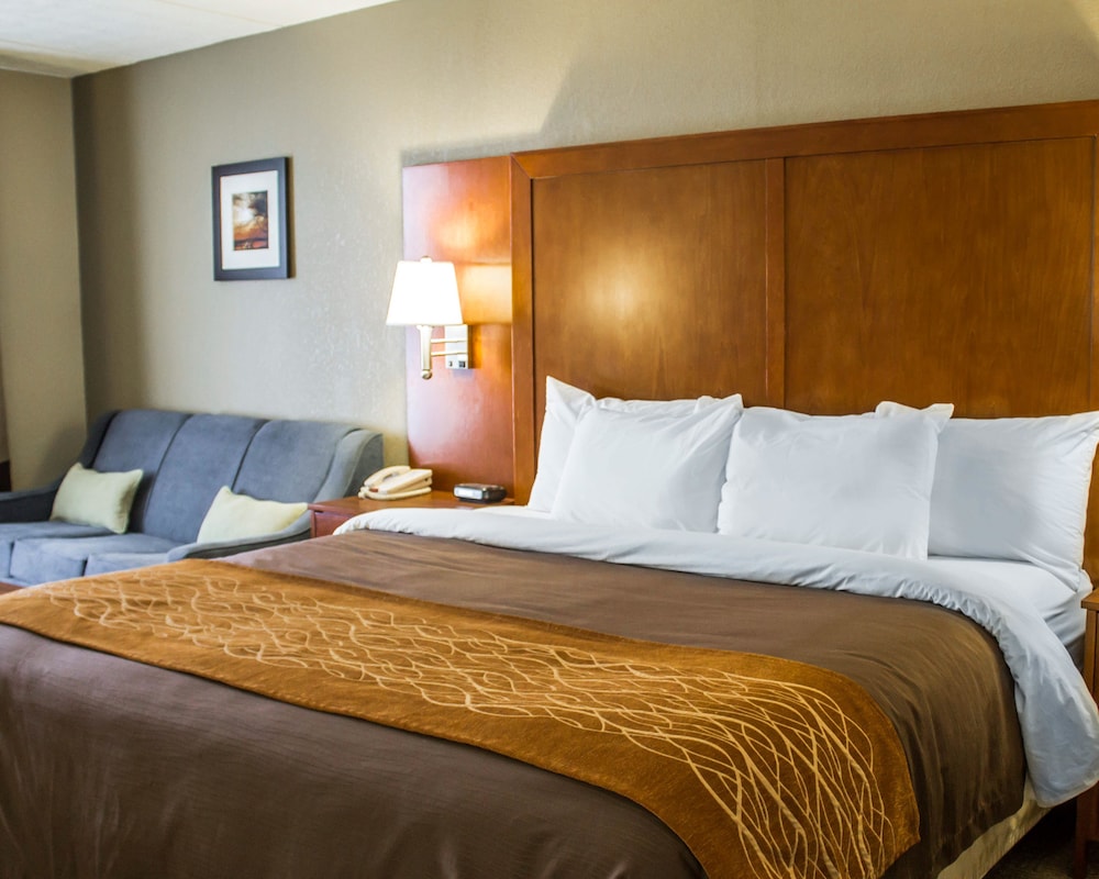 Standard Room, 1 King Bed with Sofa bed, Non Smoking - Photo 4