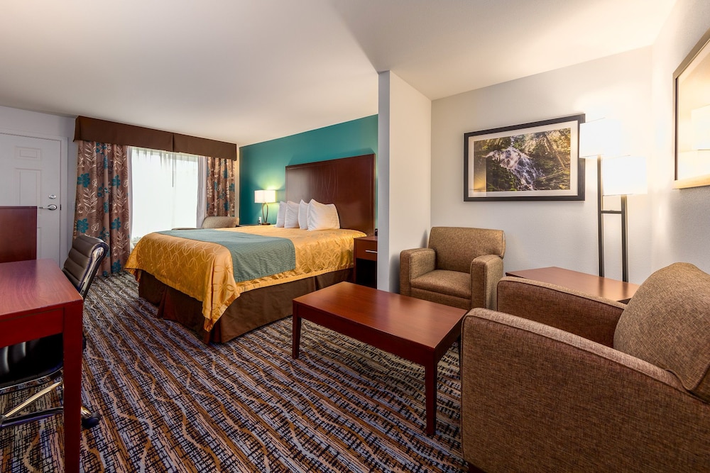 Deluxe Suite, 1 King Bed, Refrigerator & Microwave (Non Pet Friendly) - Photo 2