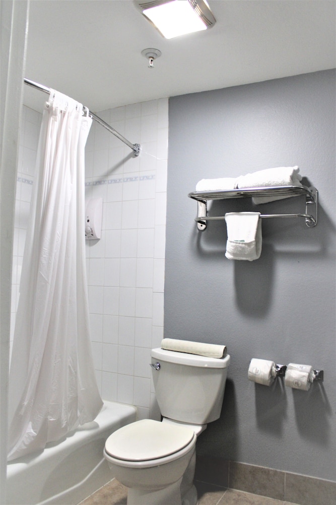 Comfort Double or Twin Room photo 2