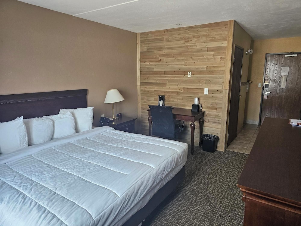 Basic Single Room