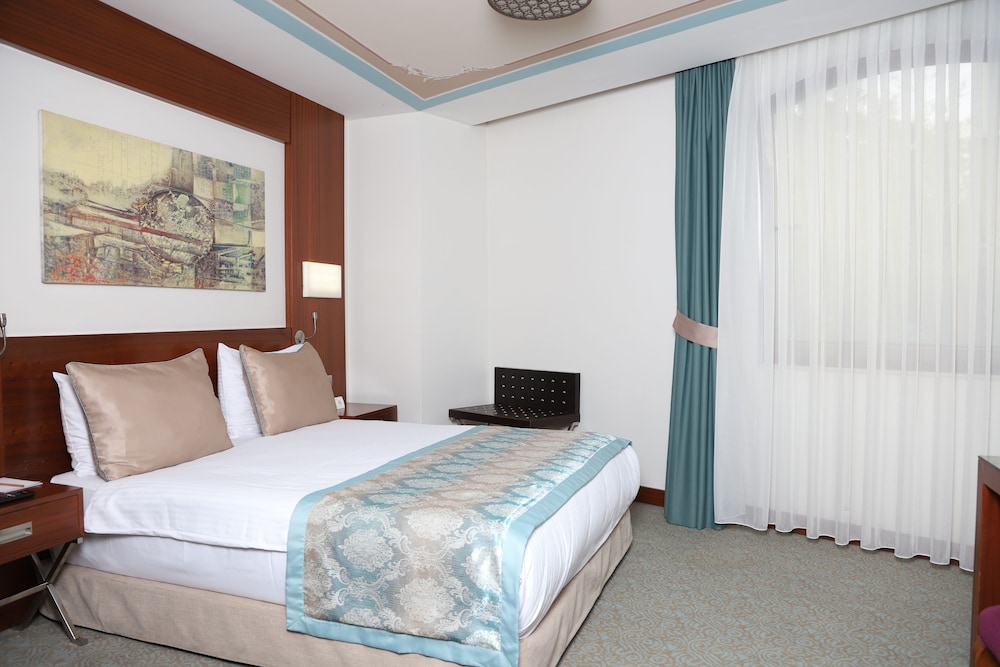 Standard Double Room Single Use photo 1