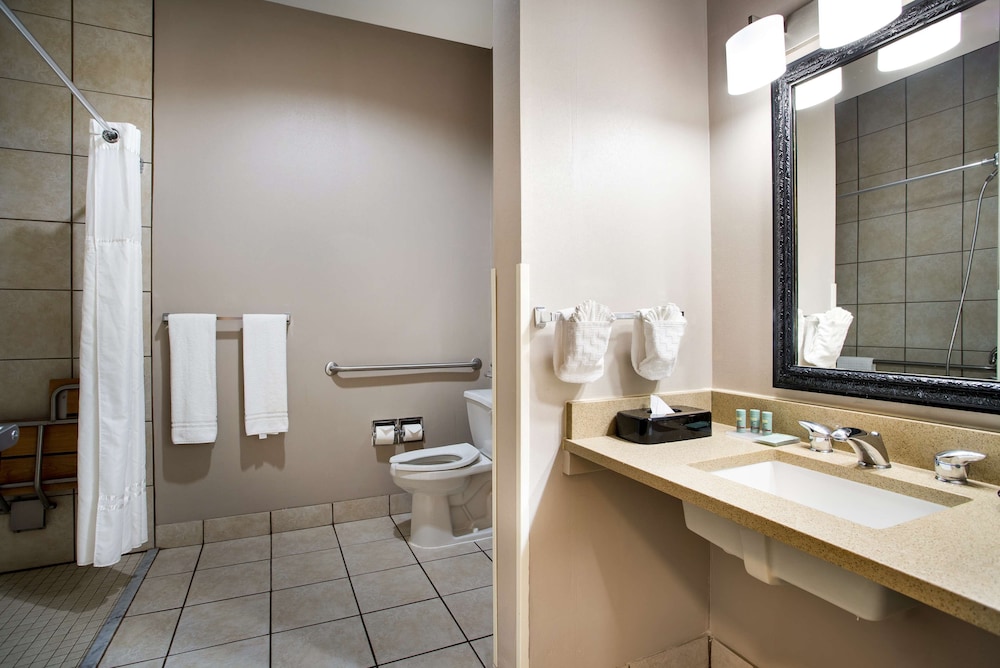 Standard Room, 1 King Bed, Accessible, Refrigerator & Microwave - Photo 3