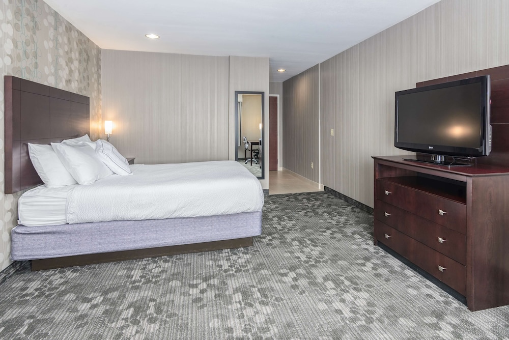 Suite, Multiple Beds, Non Smoking, Refrigerator & Microwave (with Sofabed) - Photo 4