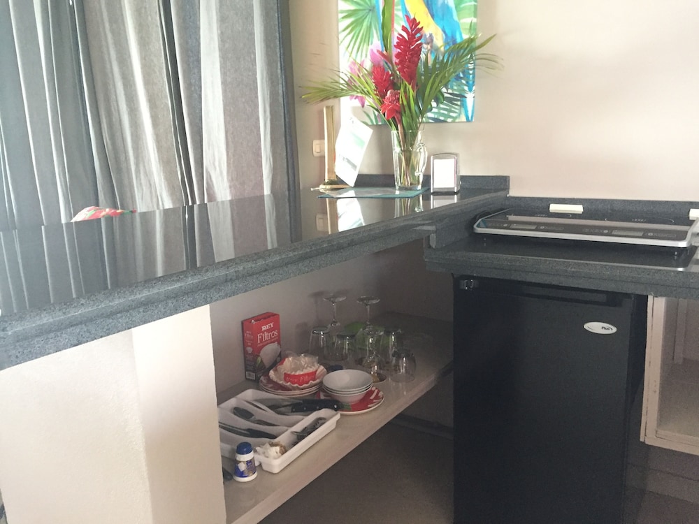 Standard Studio Suite, 1 Bedroom, Lake View, Lakeside photo 2