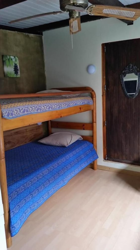 Bunk Bed in Mixed Dorm