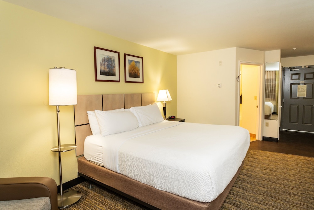 Studio Suite, 1 Queen Bed, Accessible (Mobility, Accessible Tub) - Photo 2