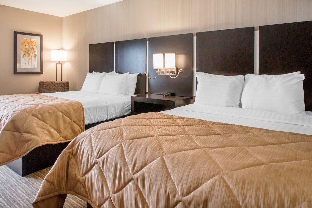 Signature Room, 2 Queen Beds, Kitchen photo 1