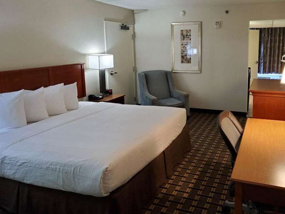 Deluxe Room, 1 King Bed, Non Smoking photo 2