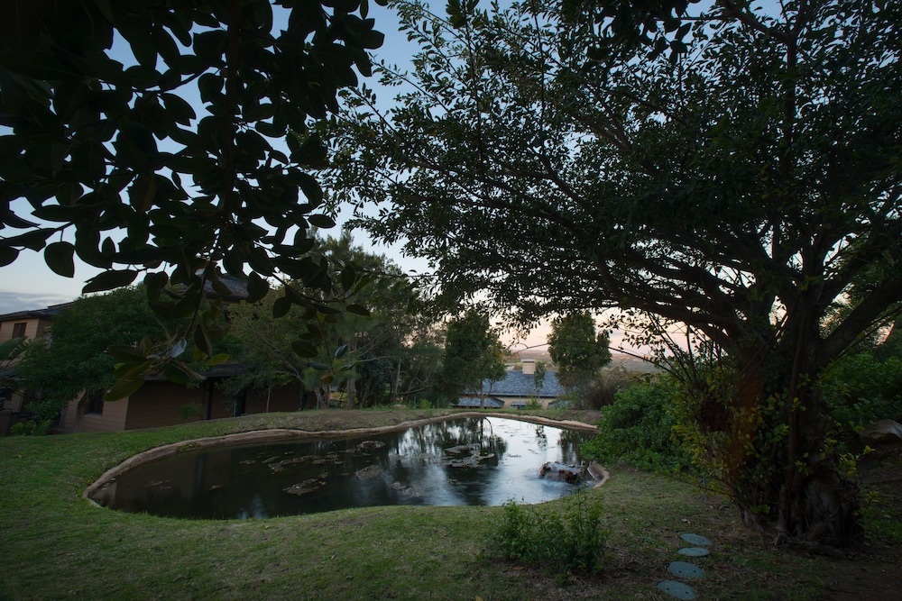 Nature One Bedroom Suite - Photo 9