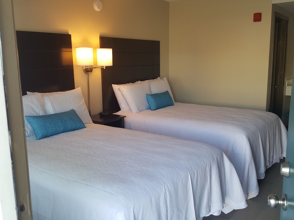 Standard Room, 2 Double Beds photo 3