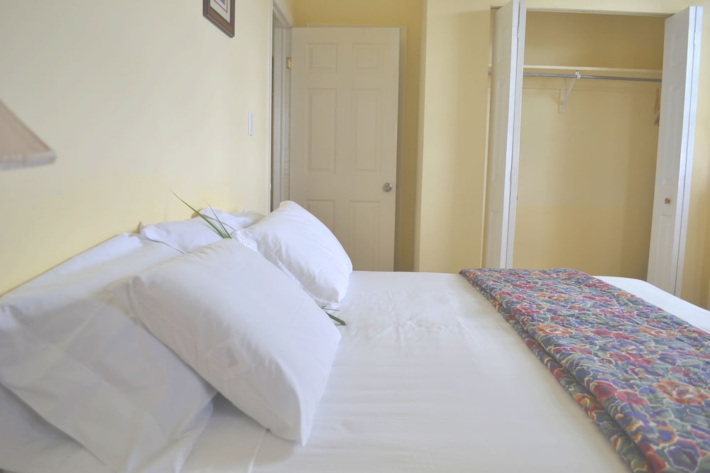 Deluxe Apartment, 1 King Bed, Kitchen photo 2