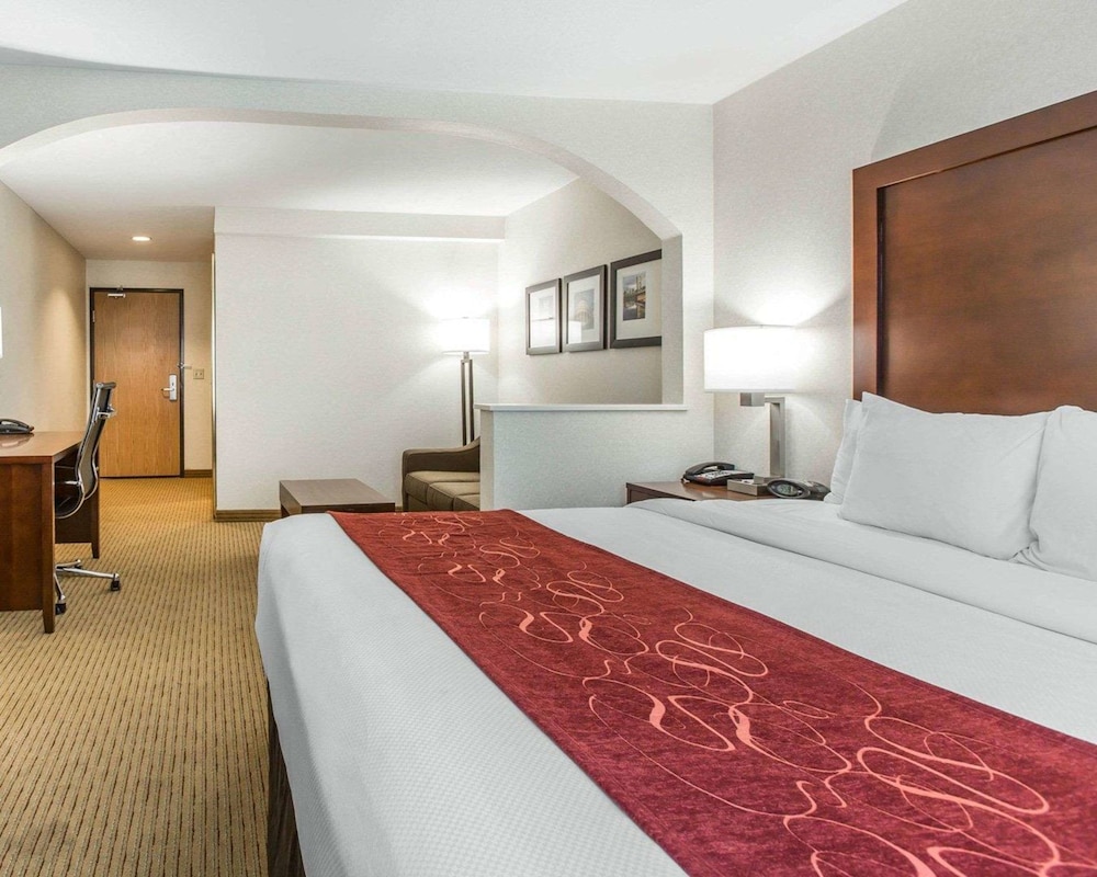 Executive Studio Suite, 1 King Bed with Sofa bed
