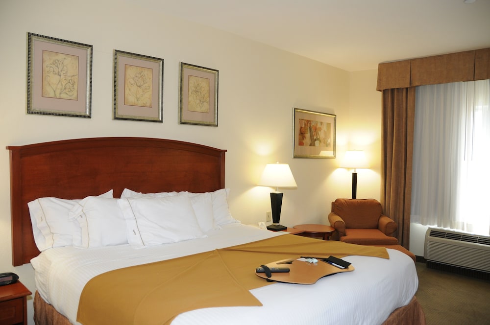Standard Room, 1 King Bed, Jetted Tub - Photo 4