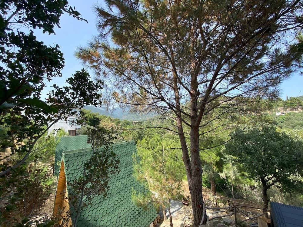 Bungalow, Mountain View photo 3