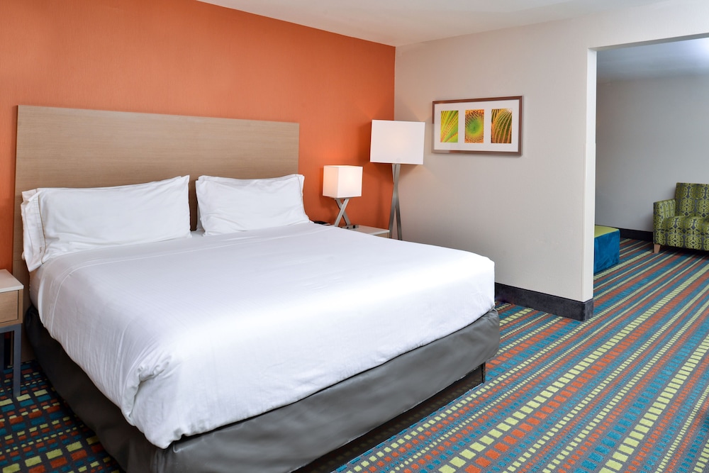 Room, 1 King Bed, Accessible (Communications, Mobil, Roll-In Shower) - Photo 6