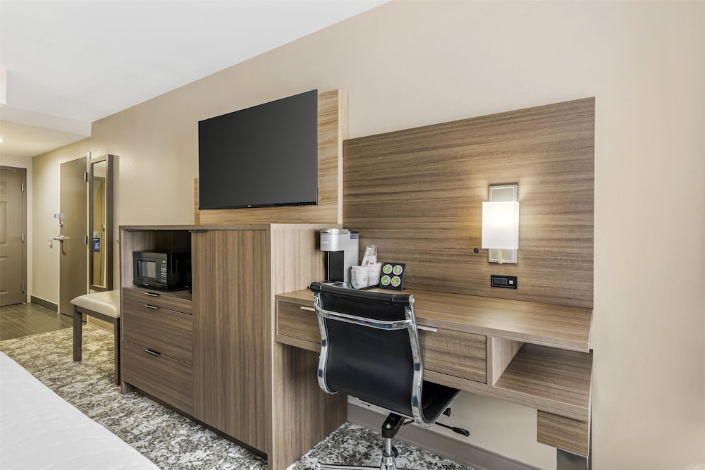 Junior Suite, 1 King Bed, Non Smoking, Refrigerator & Microwave - Photo 1