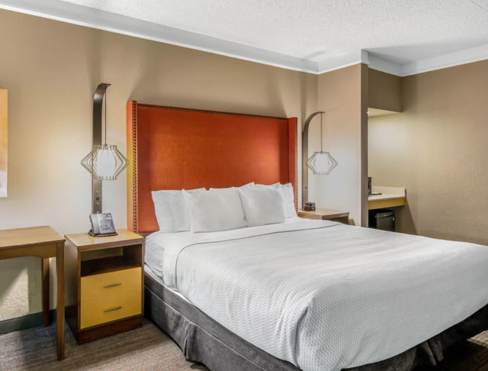 Room, 1 King Bed, Accessible, Non Smoking (Mobility/Hearing Impaired Accessible) - Photo 3