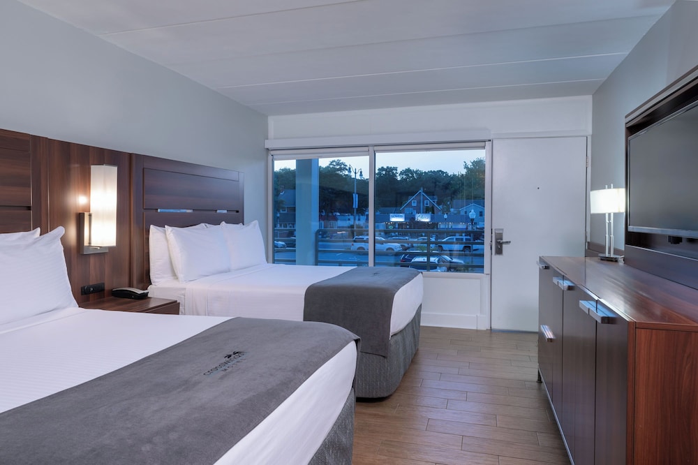 Standard Double Room, 2 Double Beds