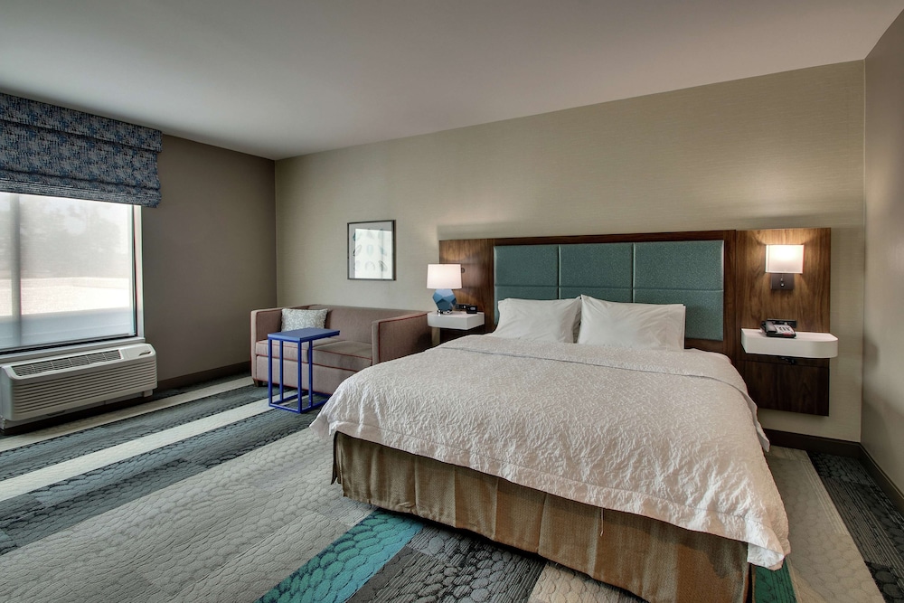Room, 1 King Bed, Accessible (Roll-in Shower, Mobility & Hearing)