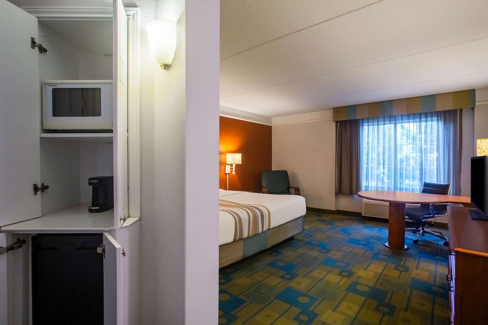Deluxe Room, 1 King Bed, Non Smoking - Photo 2