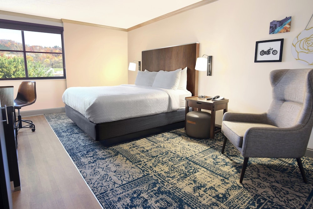 Suite, 1 Bedroom - Photo 1