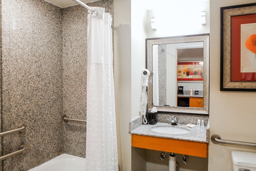 Premier Suite, 1 Bedroom, Non Smoking, Jetted Tub (King Bed and Sofa Bed) photo 3