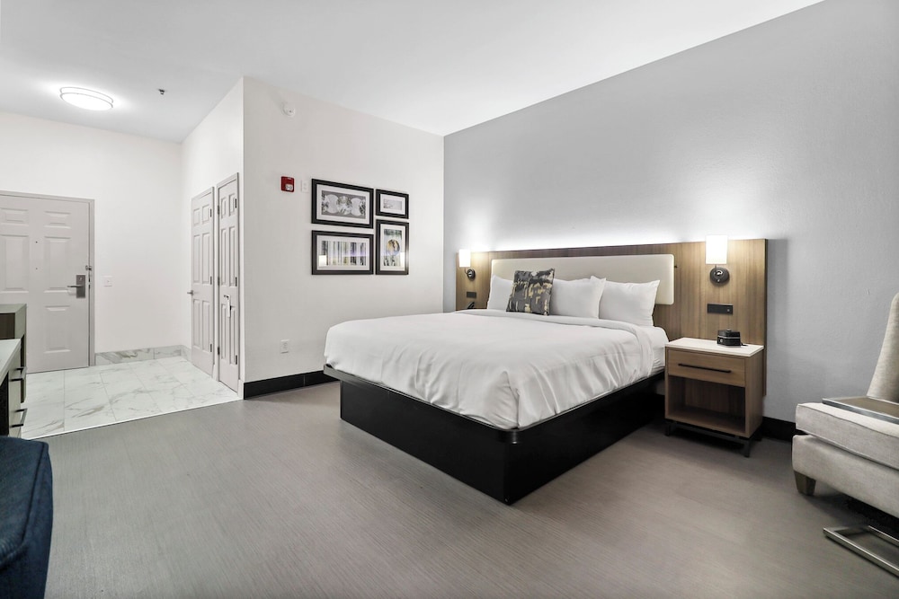 Room, 1 King Bed, Accessible, Non Smoking (Tub with Grab Bars) - Photo 7
