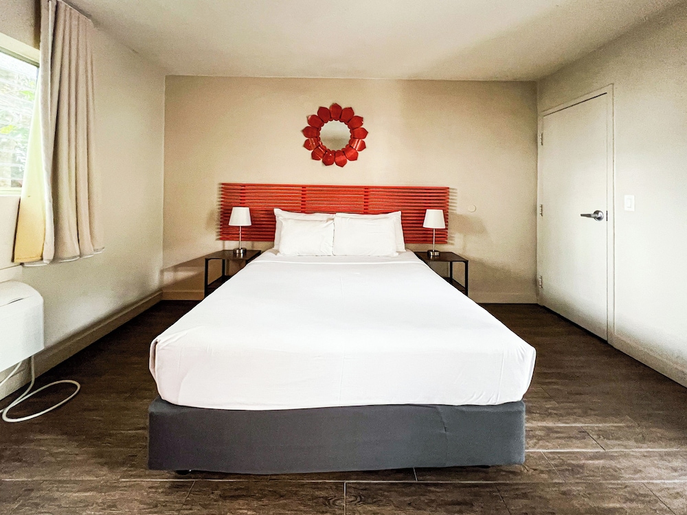 Studio, 1 Queen Bed photo 2