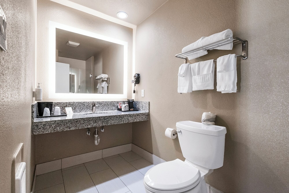 Deluxe Suite, 1 King Bed, Non Smoking, Jetted Tub - Photo 6
