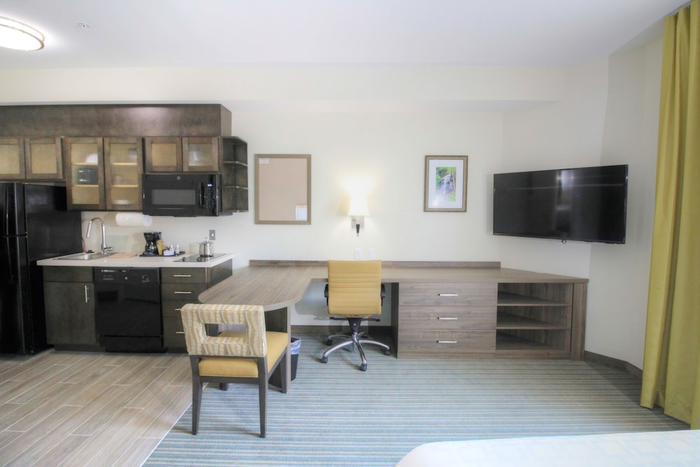 Studio Suite, 1 Queen Bed photo 3