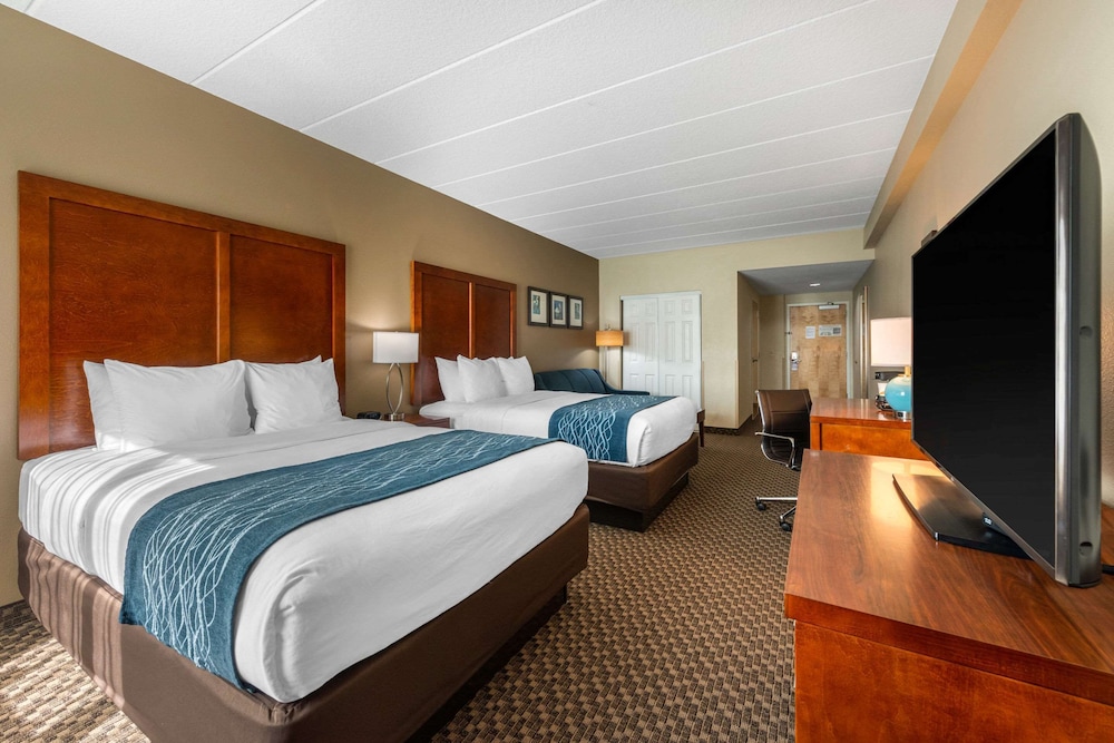 Suite, Multiple Beds, Accessible, Non Smoking - Photo 4