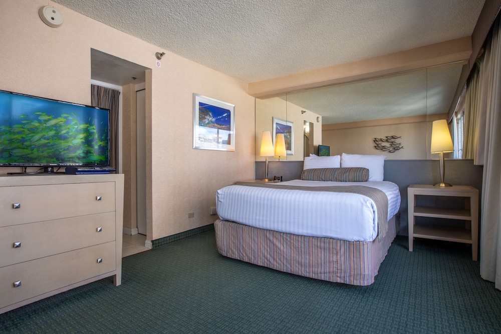 Deluxe Room - Photo 6