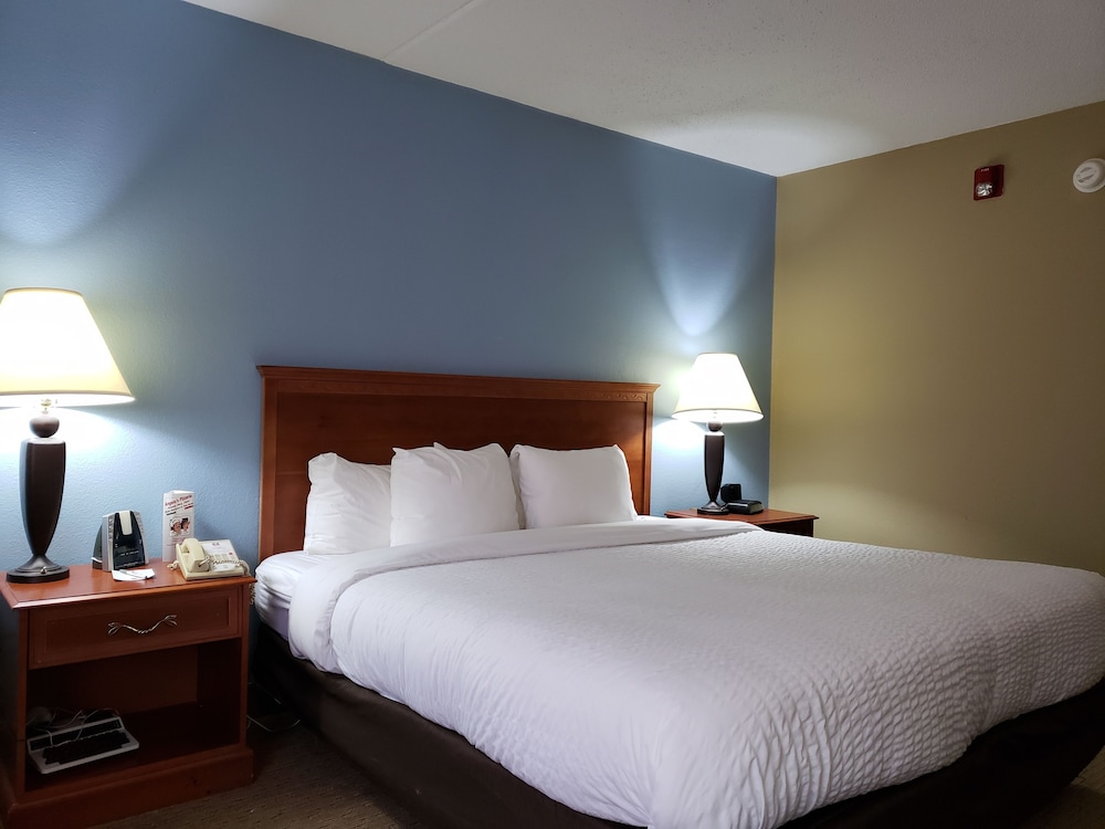 Standard Room, 1 King Bed, Non Smoking (Pet Friendly) - Photo 4