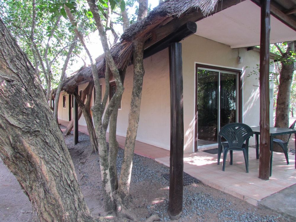 Deluxe Chalet, 1 Queen Bed, Garden View photo 3