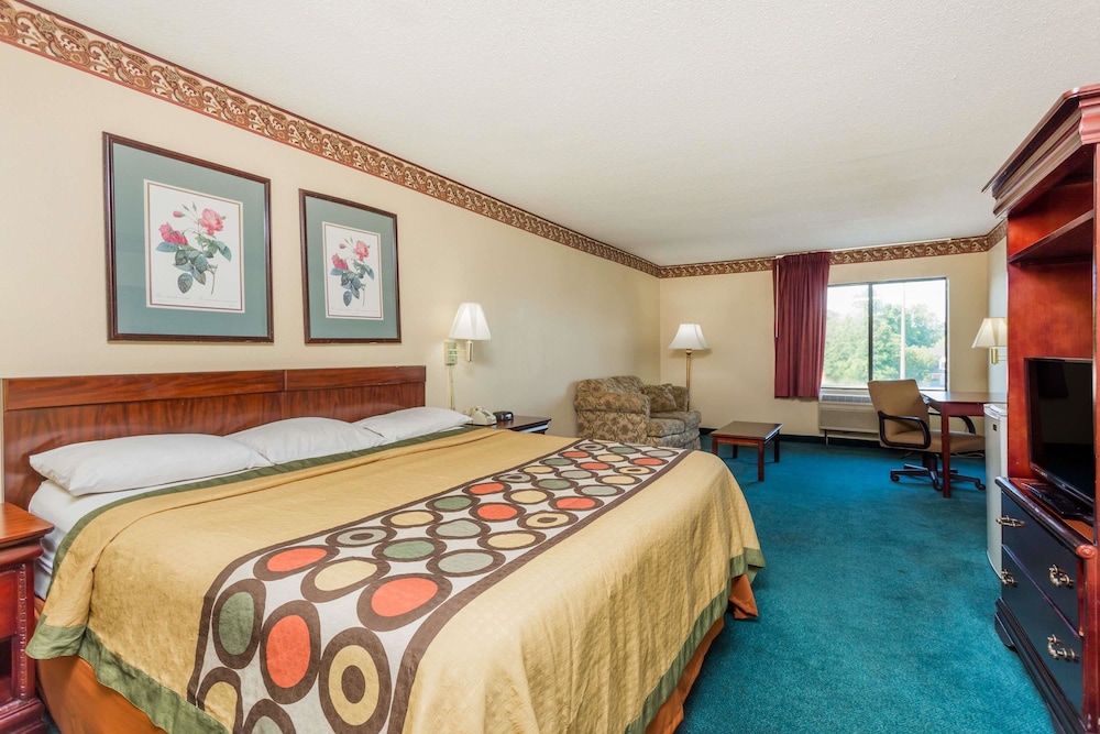 Deluxe Studio Suite, 1 King Bed, Smoking - Photo 1