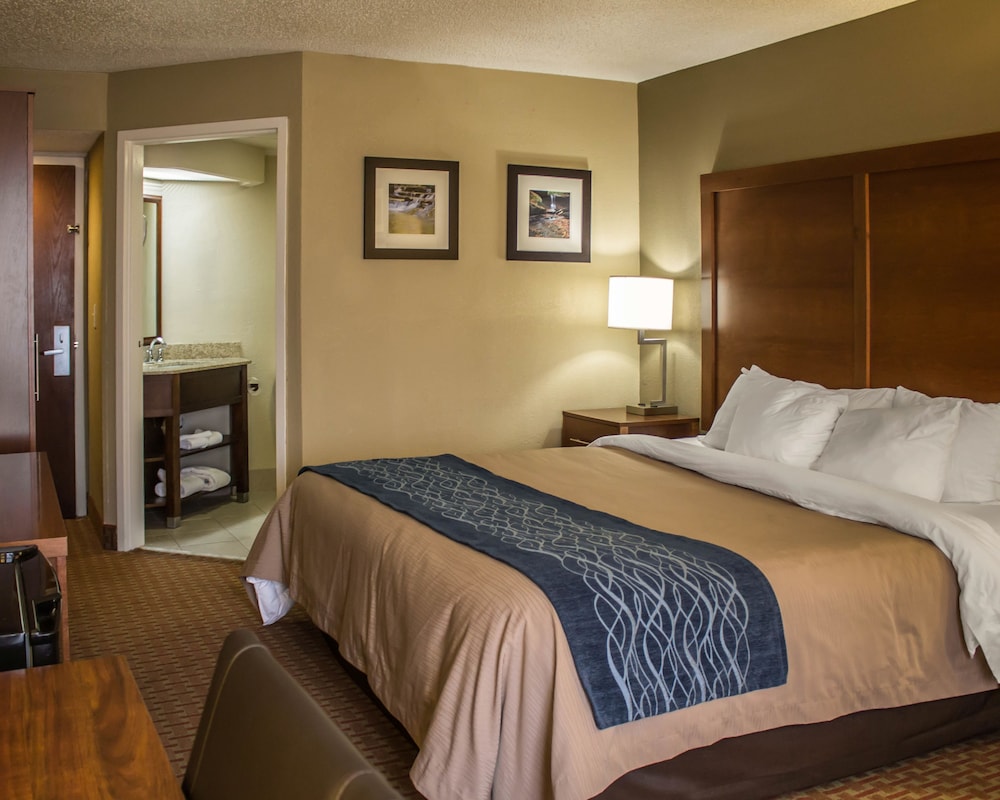 Room, 1 King Bed, Accessible, Non Smoking - Photo 1