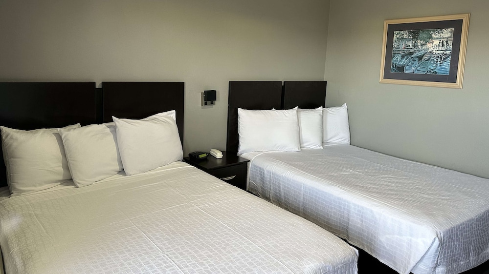 Suite, 2 Double Beds, Smoking, Kitchen - Photo 1