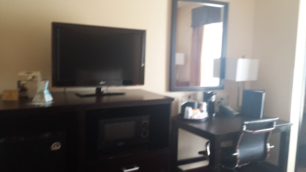 Executive Suite, Refrigerator & Microwave photo 2