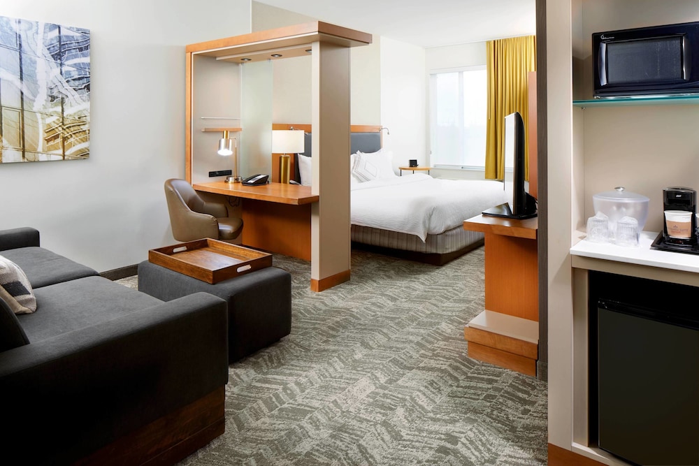 Suite, 1 Bedroom - Photo 1