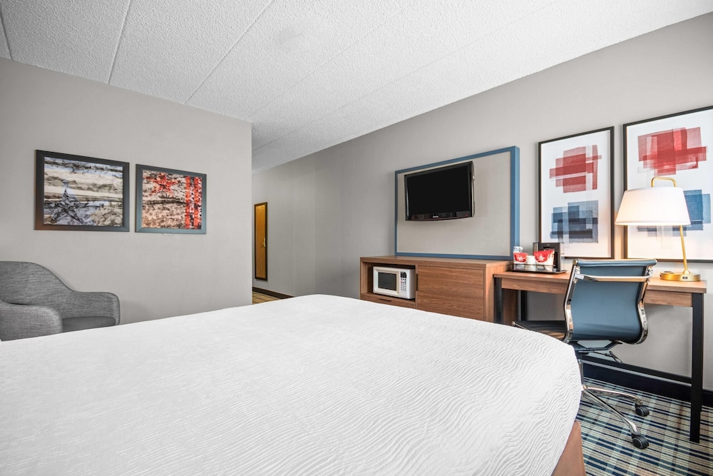 1 Queen Bed, Mobility Accessible Room, Roll-In Shower, Non-Smoking - Photo 3